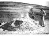 A threshing-floor. Grain is heaped and then winnowed by the farmer `whose fan is in his hand` (Matthew iii, 12).